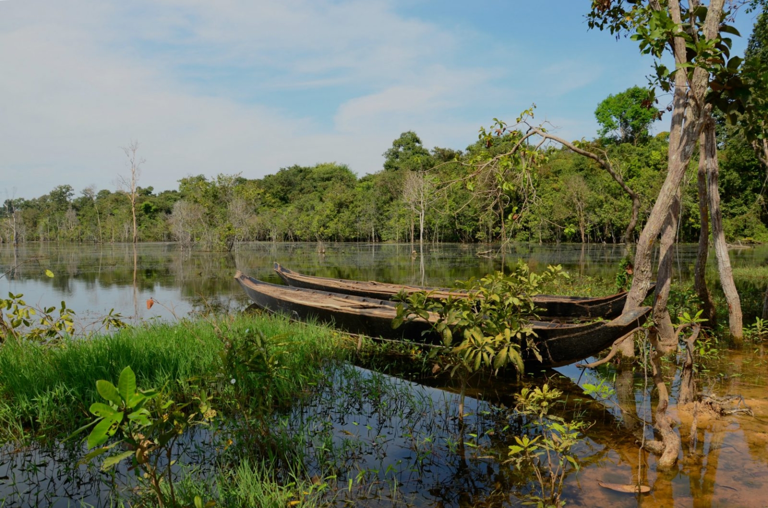 cambodia-nature